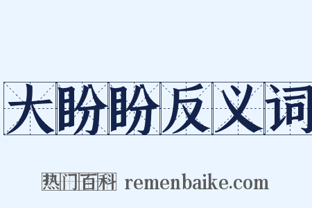 大盼盼反义词是什么意思的图片